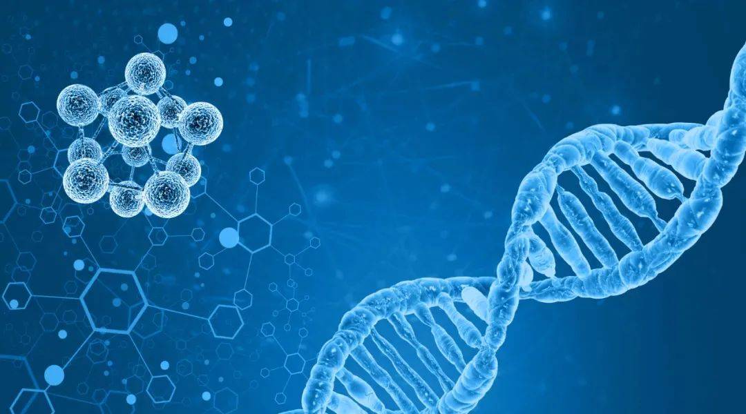 承德_澳门管家婆100%精准,警觉模板化请全面释义、解释与落实