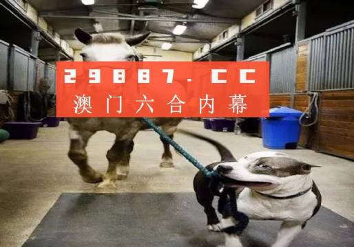 怀化_澳门一肖一码一待一中广东,检举阐明详细解答、解释与落实